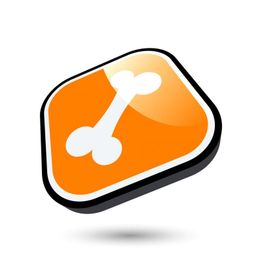 Symbol eines weißen Knochens auf einem orangefarbenen, geneigten Quadrat.