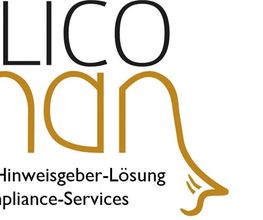 DILICOman GbR Logo
