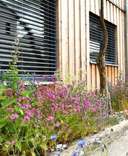 Naturgarten-Experten Bild 1