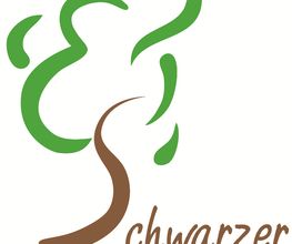 Physiotherapie Schwarzer, ehemals te Beest Logo