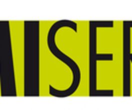 IMMI-Service Logo