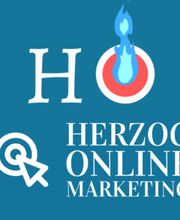 Herzog Online Marketing Businessplanung