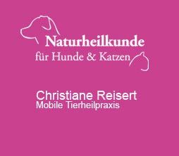 Weiße Schrift auf pinkem Hintergrund: Naturheilkunde für Hunde & Katzen, Christiane Reisert.