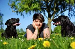 Person mit zwei schwarzen Hunden liegt auf Wiese mit gelben Blumen, Baum im Hintergrund.