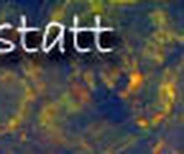 Fliegenbindewerkstatt Hilgers Logo