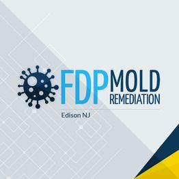FDP Mold Remediation logo with blue virus graphic, text: Edison NJ.