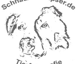 Schnauzenknipser Logo