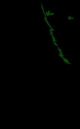 Green abstract design on a black background, resembling leaves and zigzag lines.