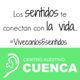 Texto sobre la importancia de los sentidos y el Centro Auditivo Cuenca. #Viveconlos5sentidos