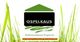 Logo von Ospelkaus, Effizienzhaus-Experte, mit grünem Hausmotiv und Gras im Vordergrund.