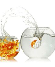 kredit-vergleich.net