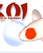 Koi Vogtland
