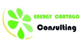 Logotipo con figura verde similar a una flor y las palabras "Energy Cartago Consulting".