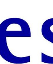 TEAM Festkultur Logo