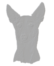 Hundefotografie Michael Hoßdorf Logo