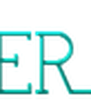 WebdesignerNürnberg.de Logo