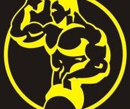 Sportstudio IRON WILL Logo
