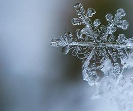 Nahaufnahme einer Eiskristall-Schneeflocke auf einem Zweig. Hintergrund verschwommen.
