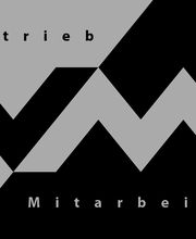 VM Unternehmensberatung Logo