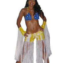 Samba - das Feuer Brasiliens