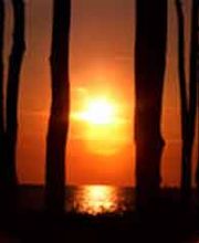 Sonenuntergang in der Ostsee - Gespensterwald - Ostseebad Nienhagen