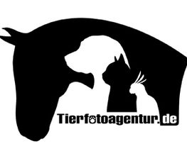 Tierfotoagentur Logo