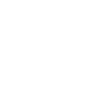 von Rüden Consulting Logo