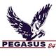 Logo eines geflügelten Pferdes mit Schriftzug "PEGASUS 24" darunter.