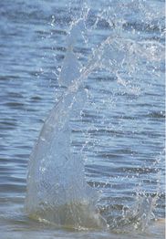 Spritzendes Wasser in einem See mit welliger Oberfläche und Sonnenlichtreflexionen.
