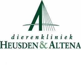 Logo dierenkliniek Heusden & Altena met een groene gestileerde A en brugdesign.