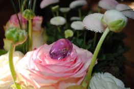 Rosa Rose mit lilafarbenem Edelstein, umgeben von weißen Blumen im Hintergrund.