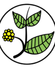 Kratomheld Logo