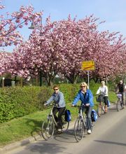 Radeln im Frühling