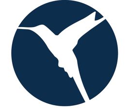 Weißer Kolibri im Flug vor blauem Kreis.