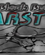 BlackBull-CarDesign Logo