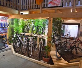 Mountainbikeabteilung