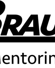 BF Scale Consulting GmbH Logo