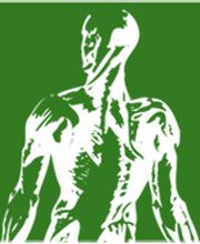 NATURHEILPRAXIS Erik Rech Logo