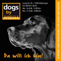 Schwarz-weiß Foto von einem Hund mit Text: "Da will ich hin!" und Kontaktdaten eines Geschäfts.