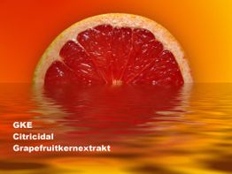 Grapefruitscheibe über Wasser, orangefarbener Hintergrund, Text: GKE Citricidal Grapefruitkernextrakt.