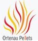 Logo mit bunten Flammen und dem Text "Ortenau Pellets" darunter.