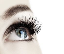 yeux les beauté Logo