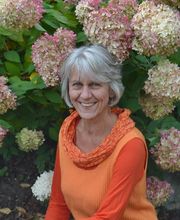 Lebensberatung, Morphisches Feld Lesen Birgit Golling Logo