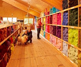 Buntes Wollgeschäft mit Regalen voller farbiger Wolle. Zwei Personen streicheln ein Schaf.