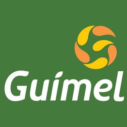 Logotipo "Guimel" com imagem circular em verde, amarelo e laranja sobre fundo verde.