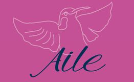 Ilustración de colibrí rosado sobre fondo rosa con la palabra "Aile" en cursiva y color oscuro.