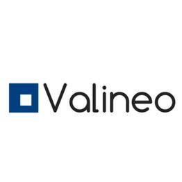 Blaues Quadrat-Symbol mit dem schwarzen Text "Valineo" auf weißem Hintergrund.