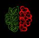 Mitad cerebro hojas verdes, mitad corazones rojos, sobre fondo negro.