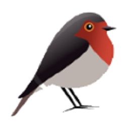 Illustration eines Vogels mit roter Brust, grauem Körper und schwarzen Flügeln, seitlich stehend.