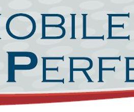 Automobile Perfektion Logo